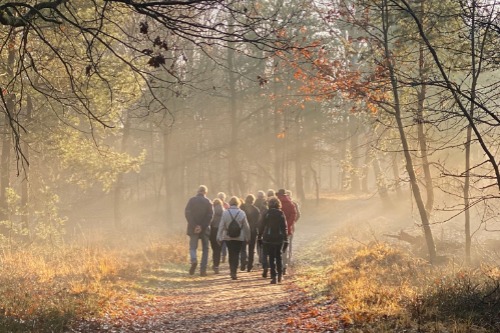 Wandelaars in de ochtend zon en mist in het bos